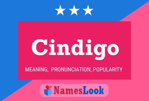 ملصق اسم Cindigo