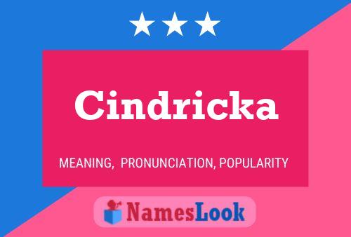 ملصق اسم Cindricka