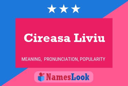 ملصق اسم Cireasa Liviu