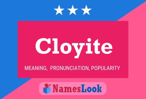 ملصق اسم Cloyite