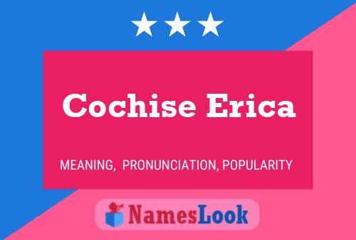 ملصق اسم Cochise Erica