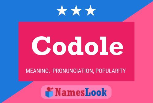 ملصق اسم Codole