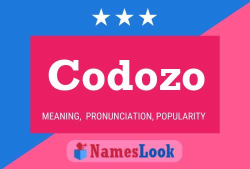 ملصق اسم Codozo