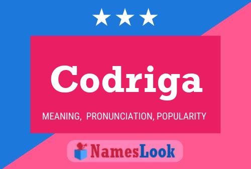 ملصق اسم Codriga