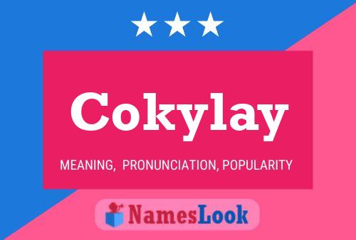 ملصق اسم Cokylay