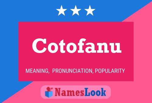 ملصق اسم Cotofanu