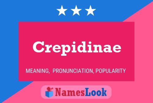 ملصق اسم Crepidinae