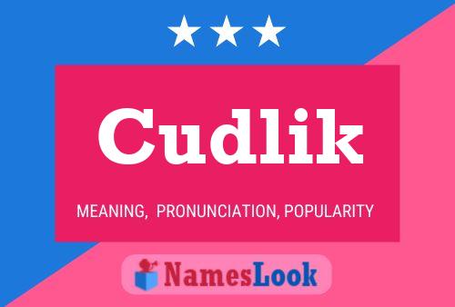 ملصق اسم Cudlik