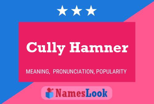 ملصق اسم Cully Hamner