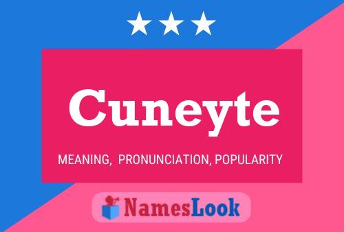 ملصق اسم Cuneyte