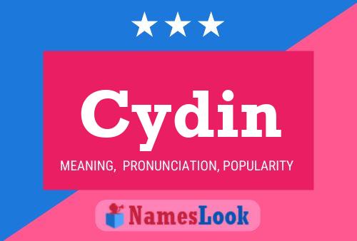 ملصق اسم Cydin