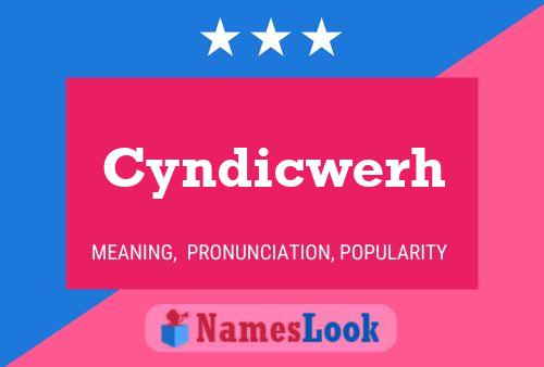 ملصق اسم Cyndicwerh