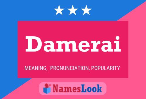 ملصق اسم Damerai