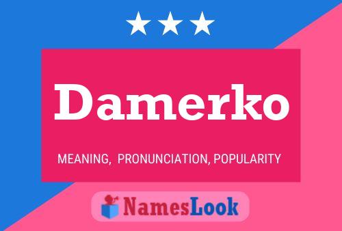 ملصق اسم Damerko