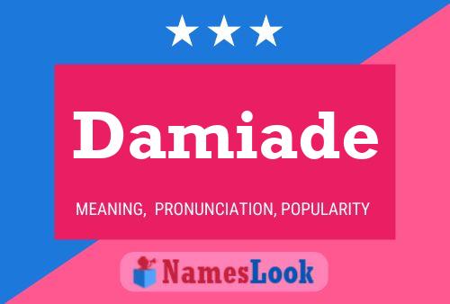 ملصق اسم Damiade