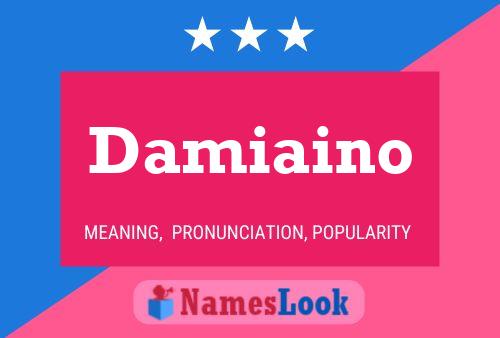 ملصق اسم Damiaino