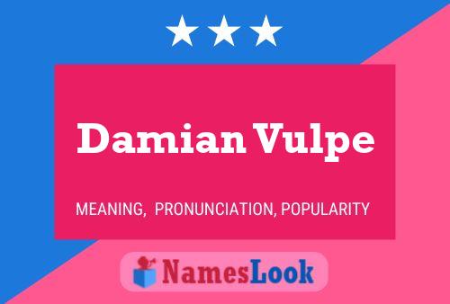 ملصق اسم Damian Vulpe