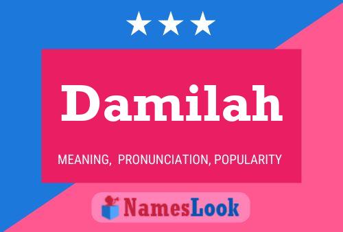 ملصق اسم Damilah