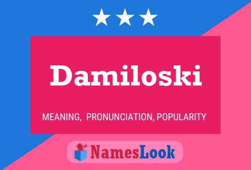 ملصق اسم Damiloski