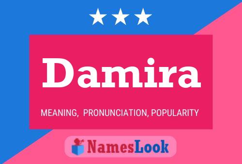 ملصق اسم Damira