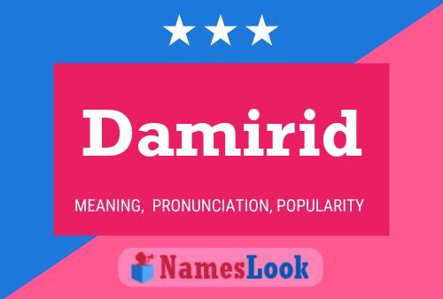 ملصق اسم Damirid