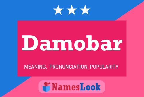 ملصق اسم Damobar