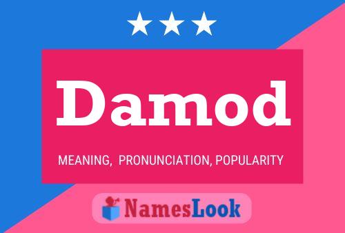 ملصق اسم Damod