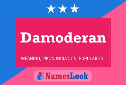 ملصق اسم Damoderan