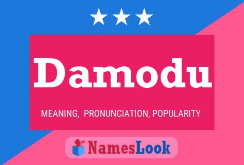 ملصق اسم Damodu