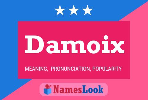 ملصق اسم Damoix