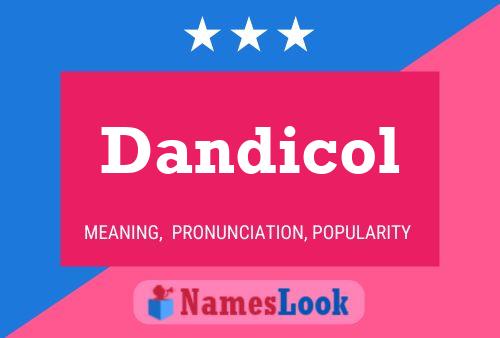 ملصق اسم Dandicol