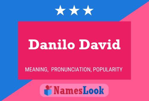 ملصق اسم Danilo David