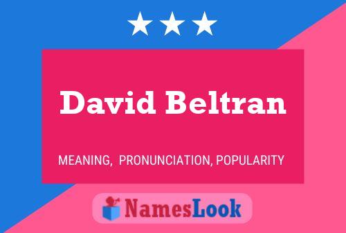 ملصق اسم David Beltran