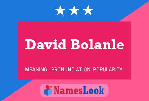 ملصق اسم David Bolanle