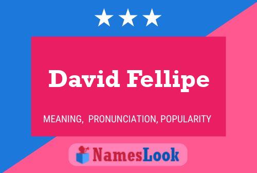 ملصق اسم David Fellipe