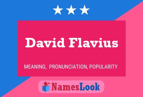 ملصق اسم David Flavius