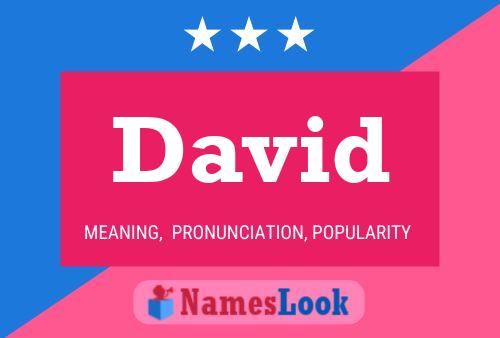 ملصق اسم David