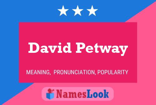 ملصق اسم David Petway