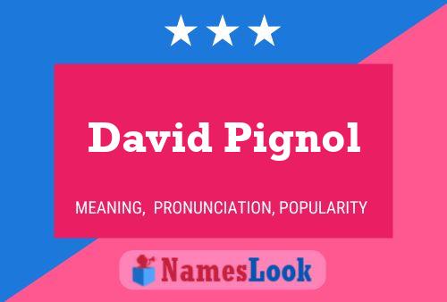 ملصق اسم David Pignol