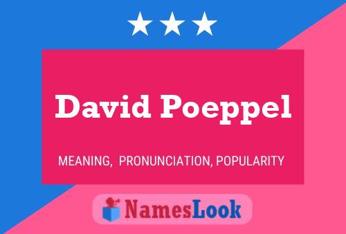 ملصق اسم David Poeppel