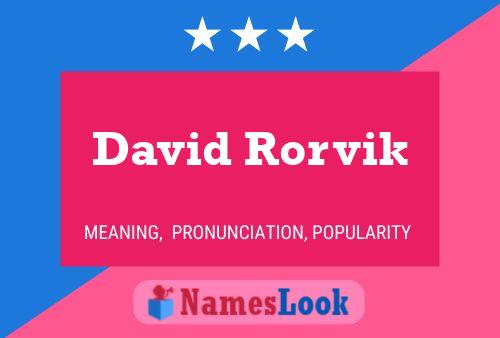 ملصق اسم David Rorvik