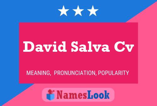 ملصق اسم David Salva Cv