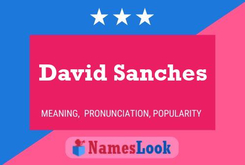 ملصق اسم David Sanches