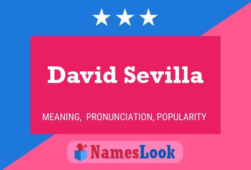 ملصق اسم David Sevilla