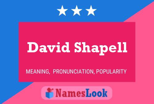 ملصق اسم David Shapell