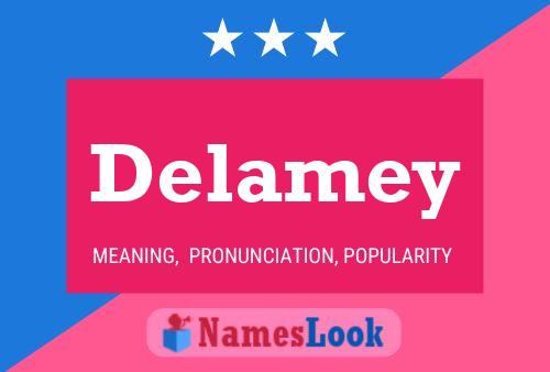 ملصق اسم Delamey