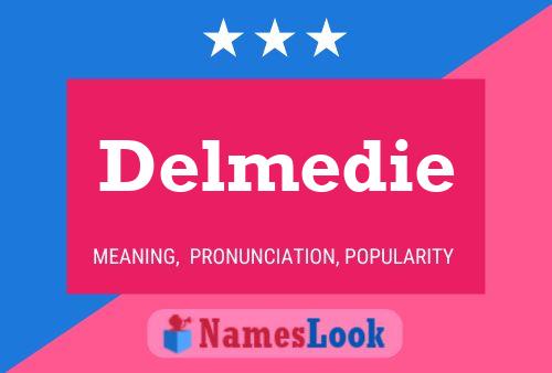 ملصق اسم Delmedie