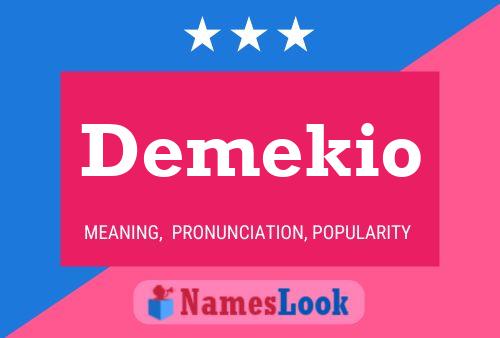 ملصق اسم Demekio