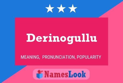 ملصق اسم Derinogullu