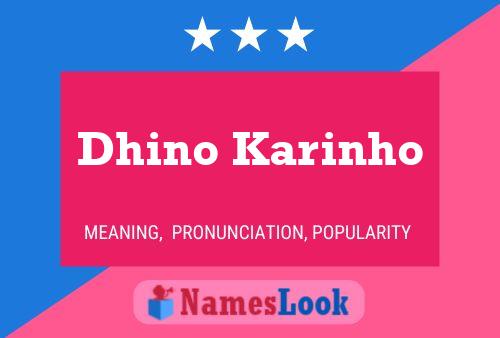 ملصق اسم Dhino Karinho